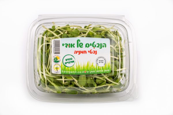 נבטי חמנייה (יח')