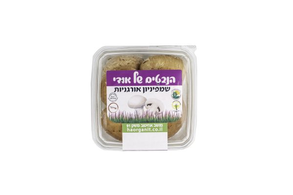פטריות שמפניון