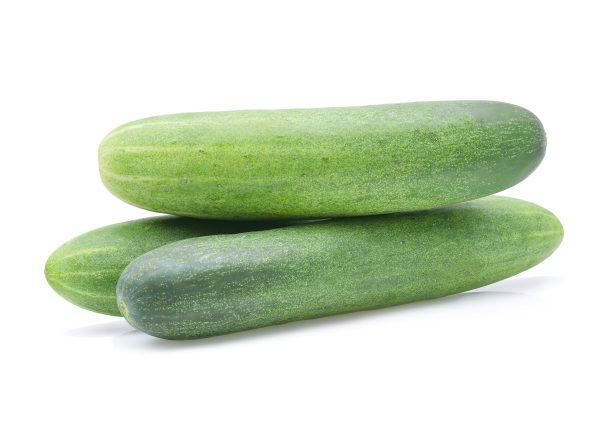 מלפפון