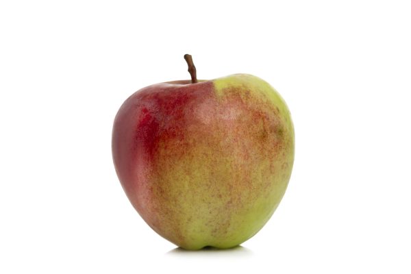 תפוח ניקוטר (ק״ג)