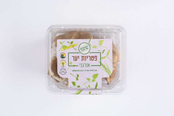 פטריות יער
