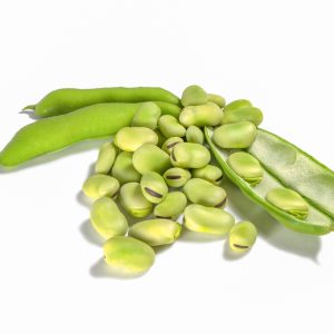 פול טרי יח׳